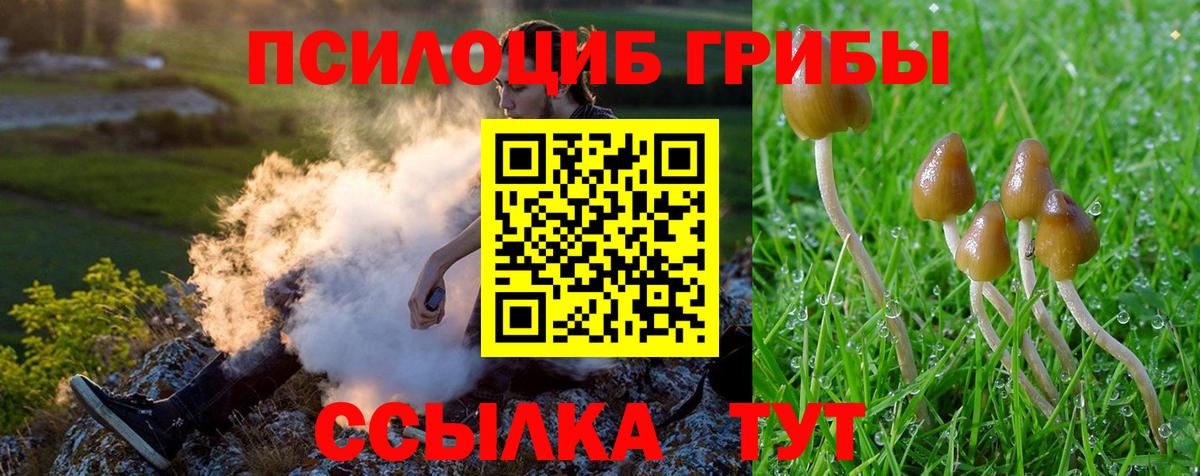 Шумерля  Галлюциногенные грибы мицелий  Галлюциногенные грибы мухоморы  Вход с VPN 